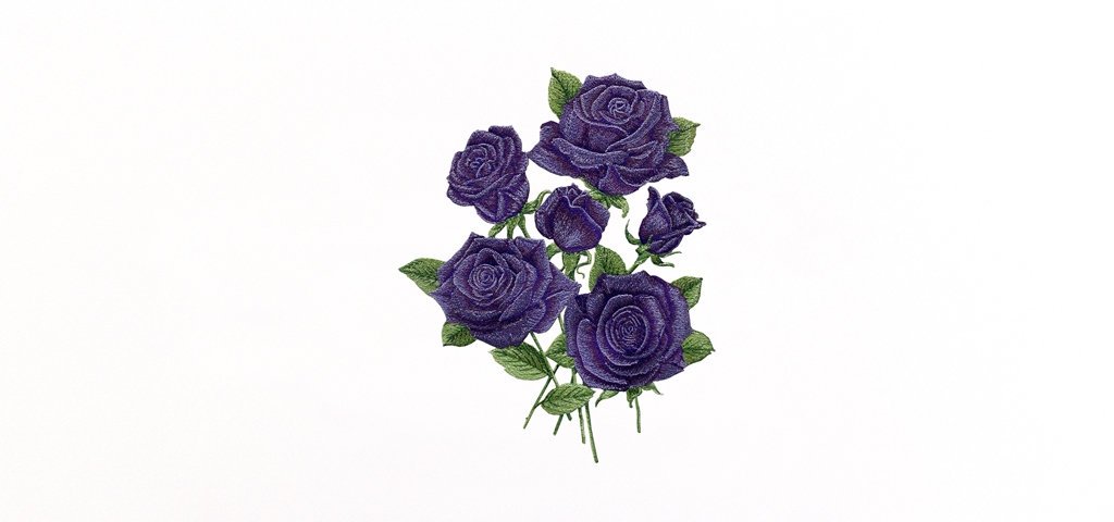 Purple Roses HP-802391